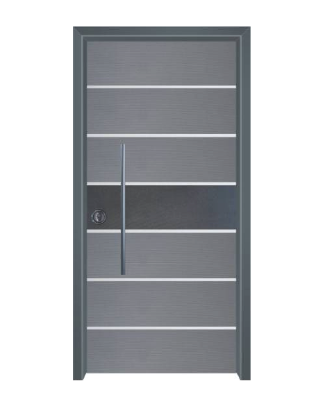 דלת מעוצבת מודרני דגם 1005